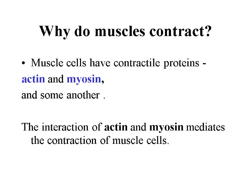 Why do muscles contract? Muscle cells have contractile proteins -   actin and